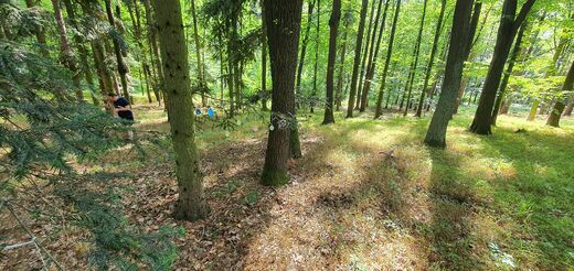 20220802_162404.jpg