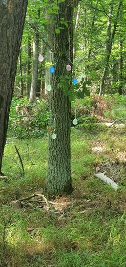 20220802_162518.jpg